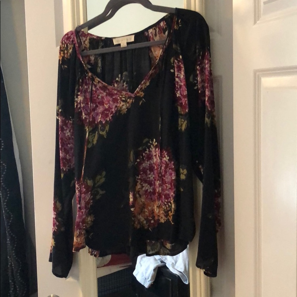 Sheer long sleeved blouse